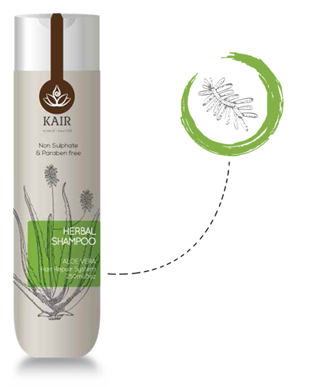 Aloe Vera Shampoo