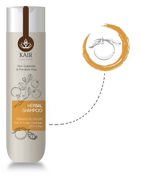 Orange Blossom Shampoo